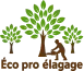 ECO PRO ELAGAGE - Logo élagueur professionnel  à Brest Finistère