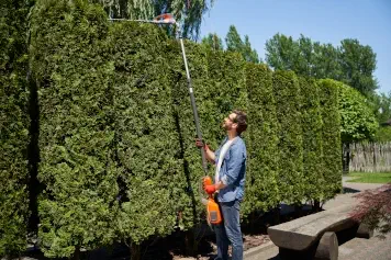 Taille de haies de lauriers et thuyas  à Brest - Entretien professionnel de haies dans le Finistère